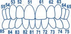 Pediatric anterior strips 20 pcs.