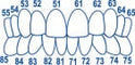 Pediatric anterior strips 20 pcs.